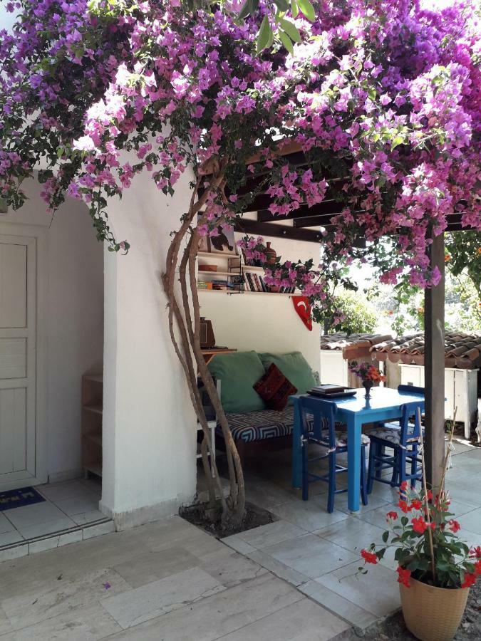 Paradise Gümüşlük Dış mekan fotoğraf