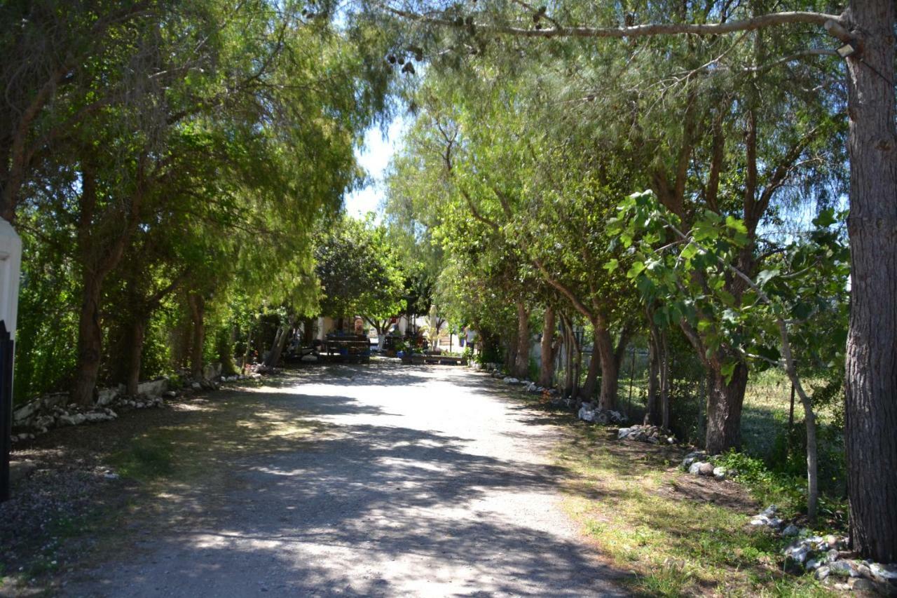 Paradise Gümüşlük Dış mekan fotoğraf