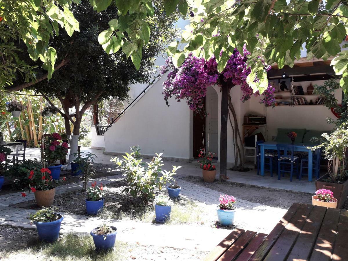 Paradise Gümüşlük Dış mekan fotoğraf