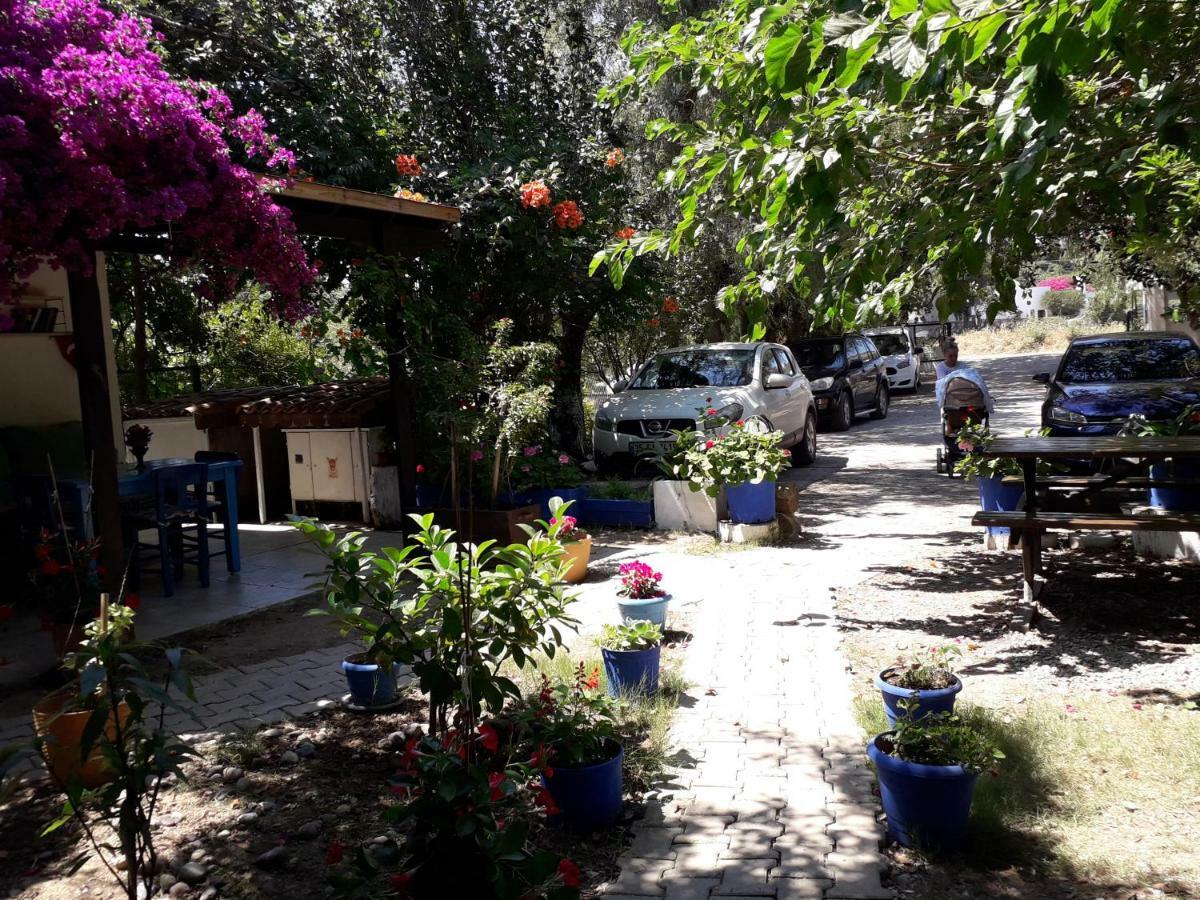 Paradise Gümüşlük Dış mekan fotoğraf